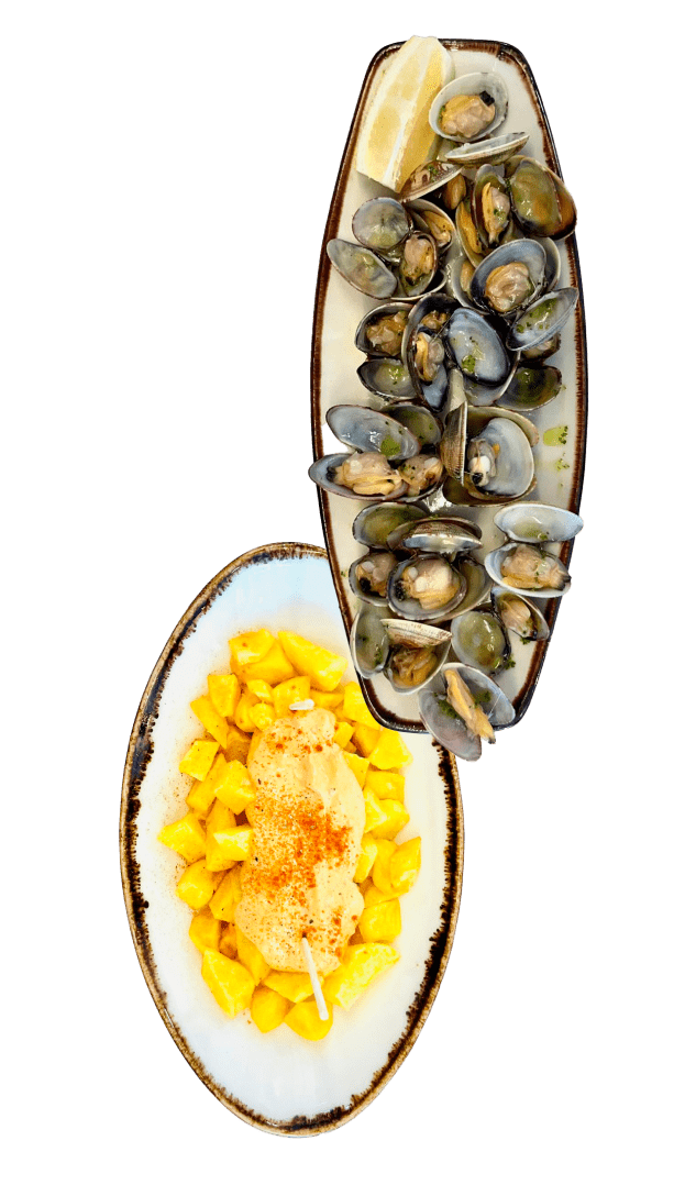 platos-comida-playa-viva