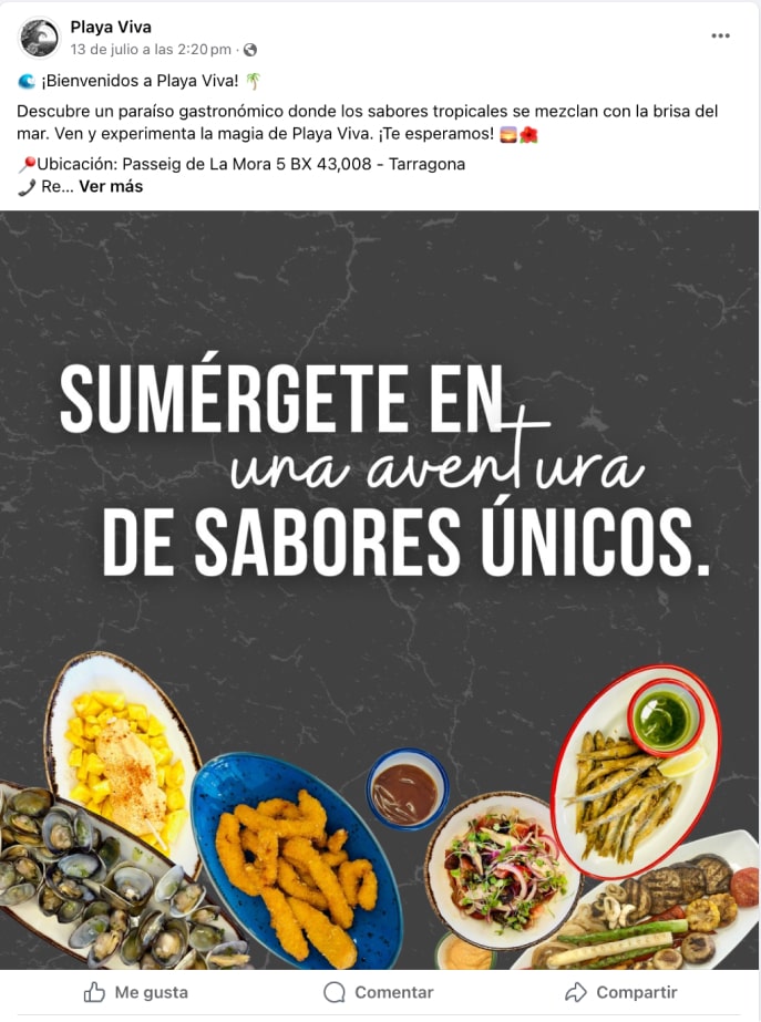 facebook playaviva