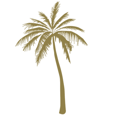 palmera playa